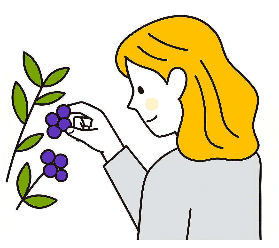 ブルーベリーを摘む女性